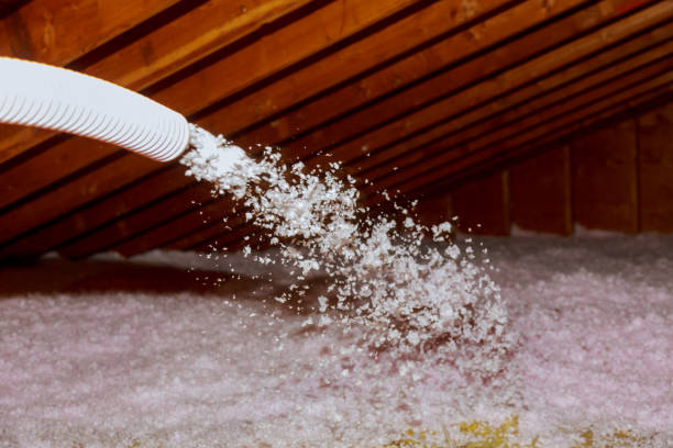 Best Insulation Installation Services in Williamsport, IN