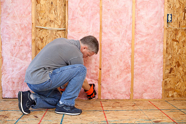 Best Insulation for Specific Applications in Williamsport, IN